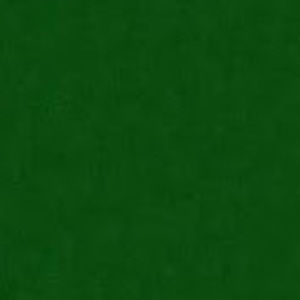 Meet your Posher, Nyla